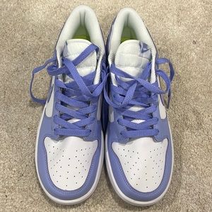 Brand new Nike dunks